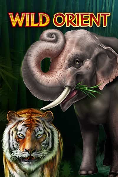 Wild Orient
